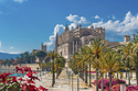 Blühendes Mallorca / Mix